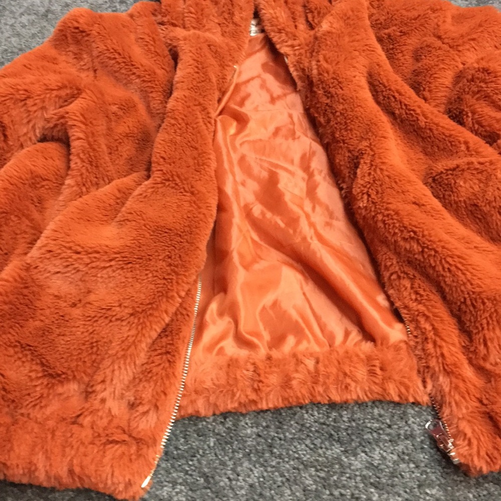 Jacket - Picture 3 of 4